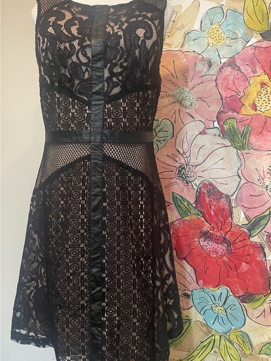 Mossimo Supply Co. Dresses & Skirts - Mossimo Supply Co. Black Lace Mini Dress natural lining with Sheer Insets size L